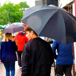 Bamboo Cane Crook Handle Umbrella
