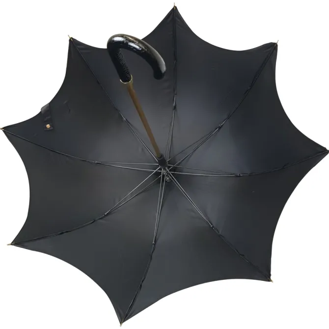 Black Gothic Umbrella – CALLISTO