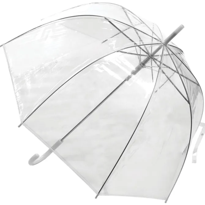 Clear Dome Umbrella with White Trim