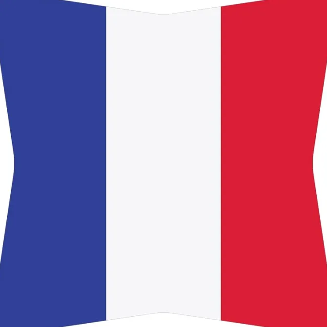 France Flag Umbrella