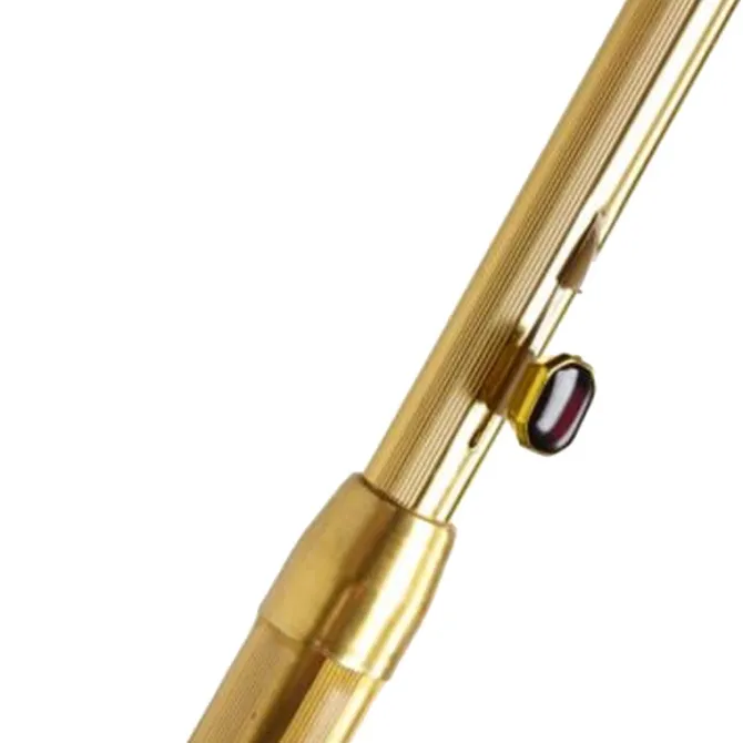 Gold Umbrella – Metallic Gold Umbrella – UV Protective