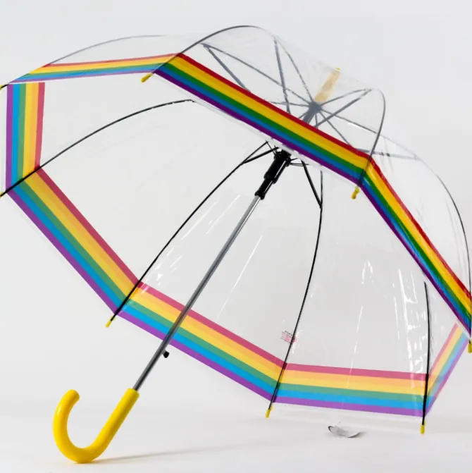 Rainbow Dome Umbrella – Clear Dome Umbrella with Rainbow Border – Adult Size