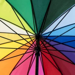 Rainbow Walking Umbrella