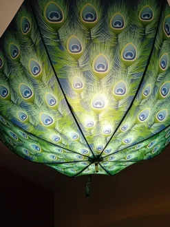 Umbrella Light