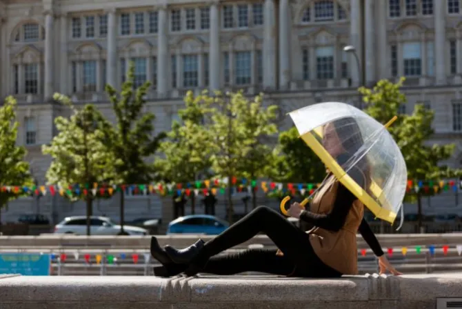 Vision Clear Dome Umbrella Choice of 5 Colours